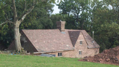 Tynegynt